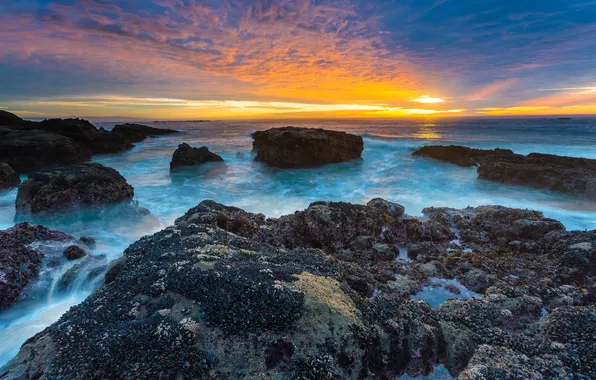 Картинка камни, океан, скалы, рассвет, берег, USA, Oregon Coast