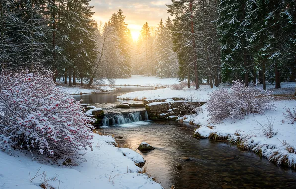 Зима, лес, снег, ручей, wallpaper, forest, winter, snow