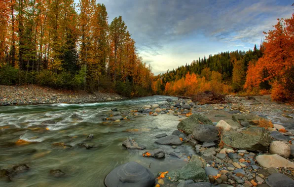 Картинка осень, лес, река, камни, поток, Аляска