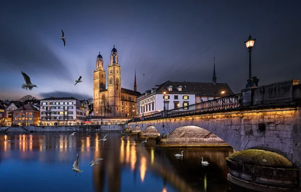 Картинка птицы, мост, город, река, здания, вечер, Швейцария, освещение