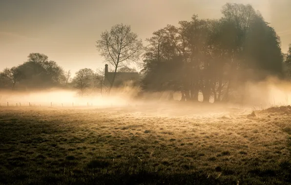 Туман, утро, Suffolk Dawn