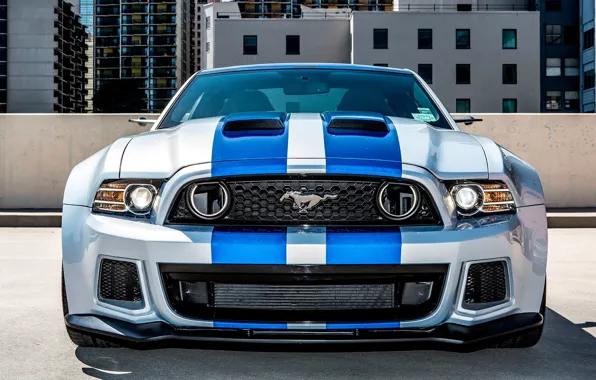 Картинка Mustang, Ford, Shelby, GT500, Форд, Мустанг, Speed, For