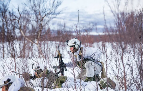 Картинка Зима, Снег, Солдаты, Автоматы, Finnmark, Norwegian Military, Bataljon training, Норвежские военные