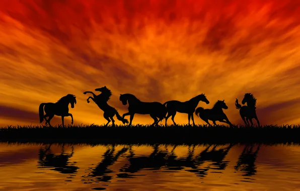 Картинка небо, трава, вода, отражение, лошади, зарево, силуэты