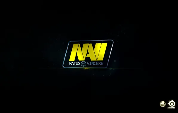 Navi, natus vincere, NA'VI, НАВИ