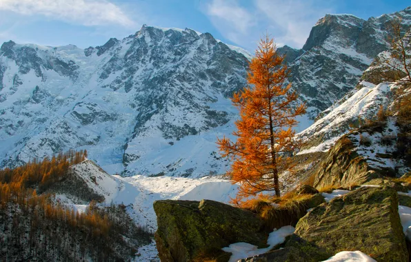 Картинка осень, небо, снег, горы, камни, дерево, скалы