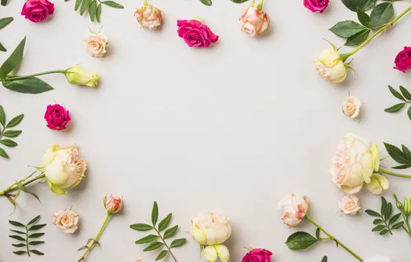 Картинка листья, цветы, фон, розы