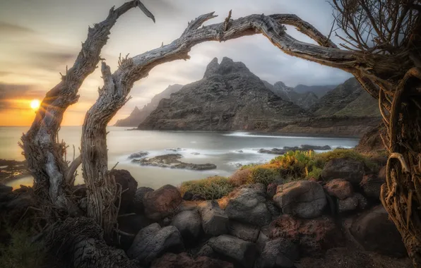 Water, mountains, stick