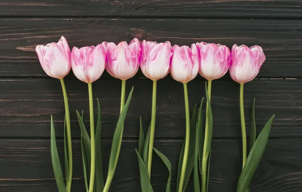 Цветы, букет, тюльпаны, розовые, wood, pink, flowers, tulips