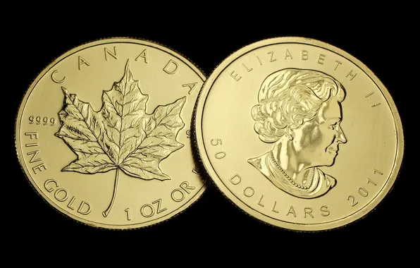 Картинка gold, Canada, money, coin