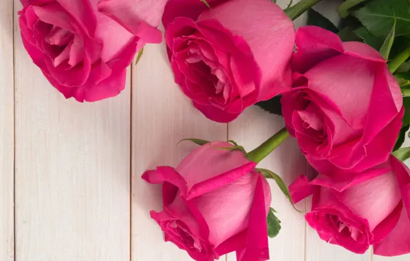 Картинка цветы, розы, букет, розовые, бутоны, pink, flowers, roses