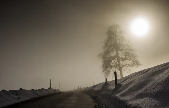 Картинка зима, дорога, пейзаж, природа, туман, дерево, забор, утро