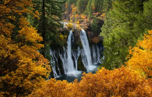 Картинка осень, лес, деревья, Калифорния, водопады, каскад, California, Burney Falls