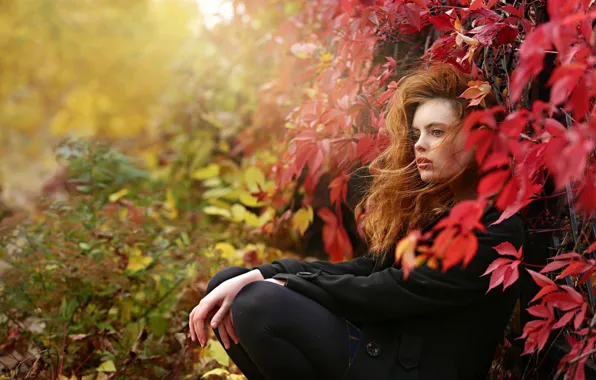 Осень, листья, девушка, ветки, природа, рыжая, пальто, локоны