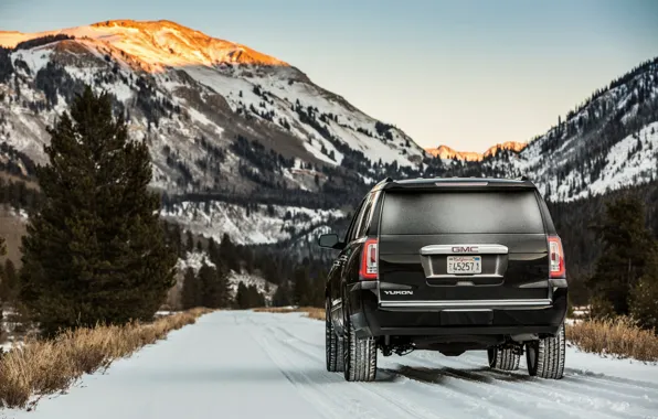 2018, GMC, SUV, Denali, корма, Yukon