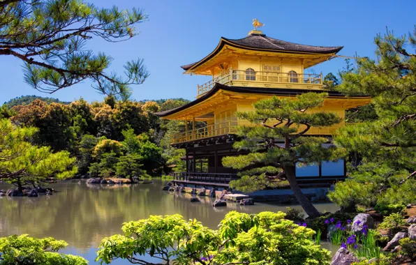 Картинка деревья, пейзаж, природа, пруд, парк, вилла, Япония, храм