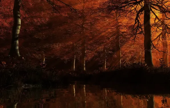 Картинка лес, листья, вода, лучи, деревья, красный