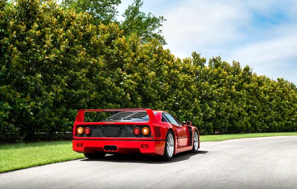 Red, F40, Rear view