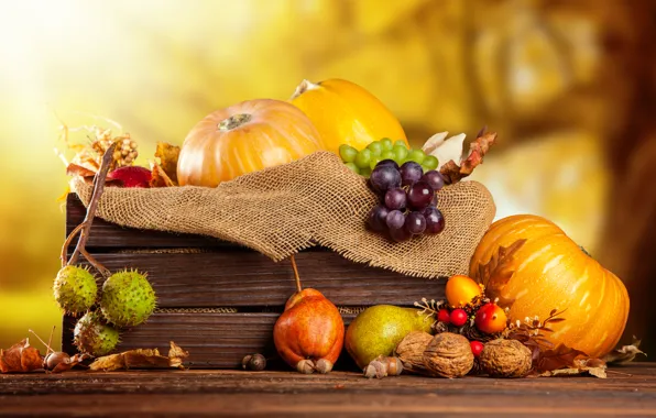 Картинка осень, урожай, виноград, тыквы, фрукты, орехи, ящик, овощи