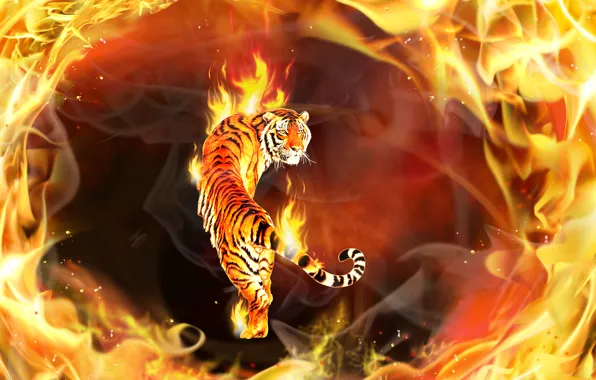 Картинка пламя, Тигр, его, пламенем, объятый, вокруг