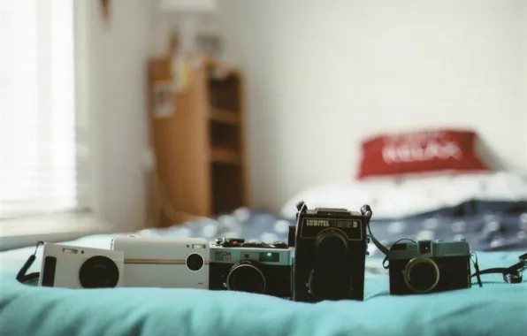 Cameras, window, bed, bedroom, sunlight, Polaroid, Pentax, Lubitel