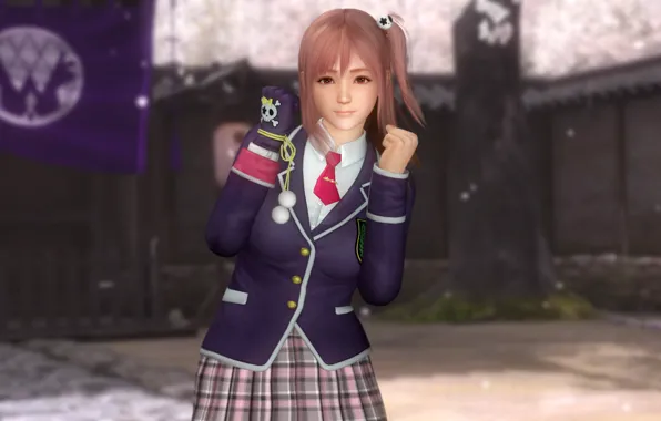 Girl, Fighter, Pretty girl, Dead or Alive 5 Last Round, Honoka