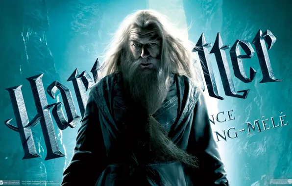 Гарри Поттер, Harry Potter and the Half-Blood Prince, Дамбулдор