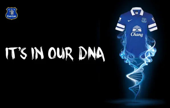 Wallpaper, sport, logo, football, t-shirt, Everton FC