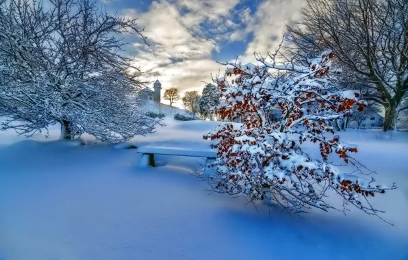 Картинка зима, небо, облака, снег, деревья, пейзаж, закат, природа
