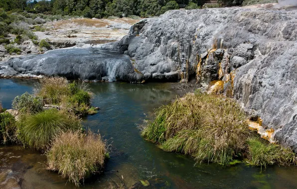 Картинка лес, пейзаж, природа, камни, Новая Зеландия, источник, гейзер, Valley of Geysers