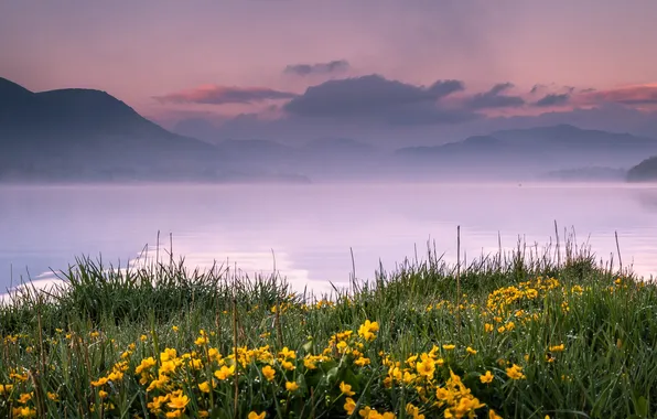 Картинка трава, цветы, горы, озеро, дымка, England, Pooley Bridge