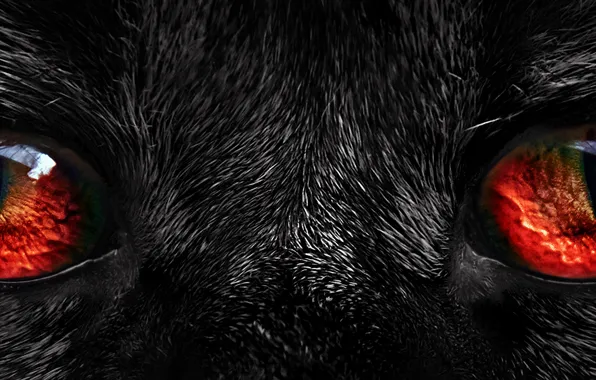 Black, red eyes, Fur