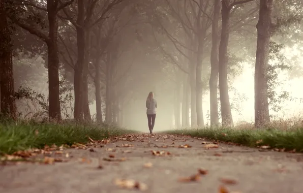 Картинка трава, листья, девушка, деревья, туман, парк, путь, ходьба
