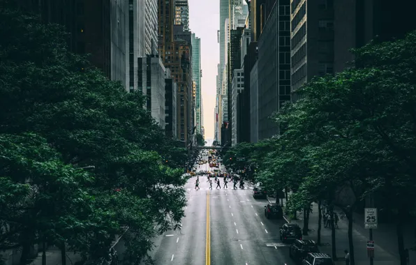 Город, улица, США, Нью Йорк