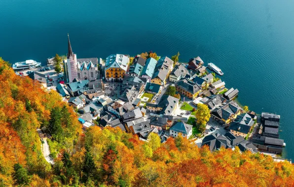 Картинка road, trees, autumn, lake, village, Austria, Hallstatt, aerial view