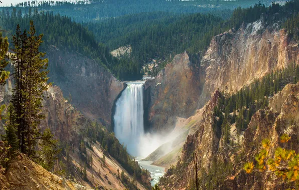 Картинка лес, скала, водопад, Wyoming, Lower Falls, USА, Canyon Junction, yellowstone national park