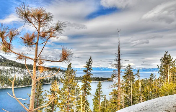 Картинка лес, снег, деревья, горы, озеро, Калифорния, США, Тахо