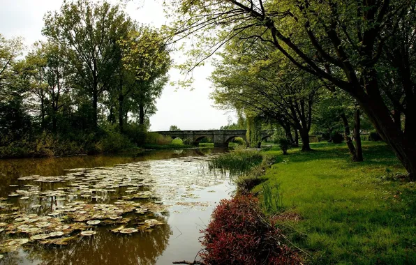 Картинка трава, деревья, мост, природа, пруд