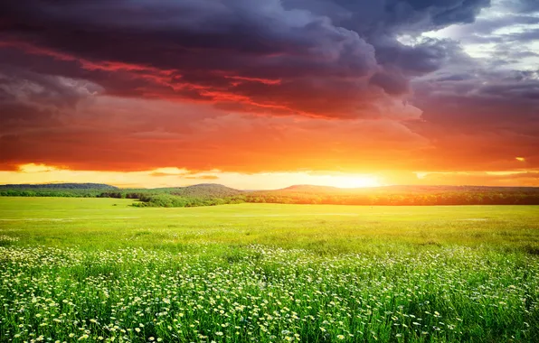 Картинка поле, небо, трава, закат, sky, landscape, nature, sunset