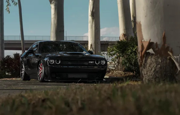 Dodge, Challenger, Hellcat, SRT, Build