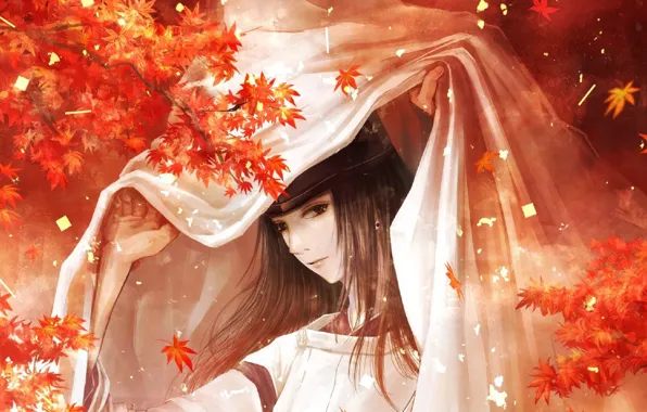 Картинка шапка, покрывало, длинные волосы, японская одежда, кленовые листья, жрец, Fujiwara no Sai, Hikaru no Go