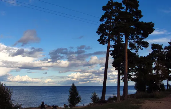 Небо, облака, деревья, природа, озеро, фото, Россия, Ладожское