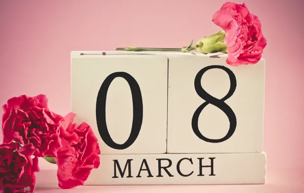 Цветы, красные, 8 марта, дата, гвоздики, женский день