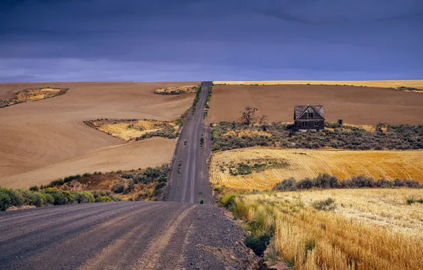 Картинка Washington, Waterville Plateau, Douglas County, Welcome To Your Nightmare