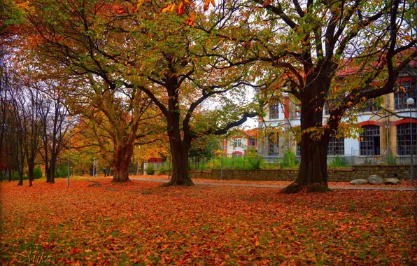 Картинка Осень, Деревья, Здание, Fall, Листва, Autumn, Building, Trees