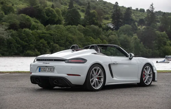 Porsche, Река, Spyder, Porsche 718, 2019, Porsche 718 ( 982 ) Spyder