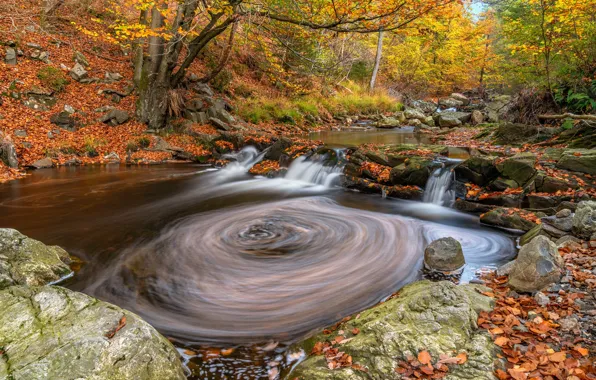 Осень, листья, природа, река, камни, водоворот, Бельгия, Wallonia