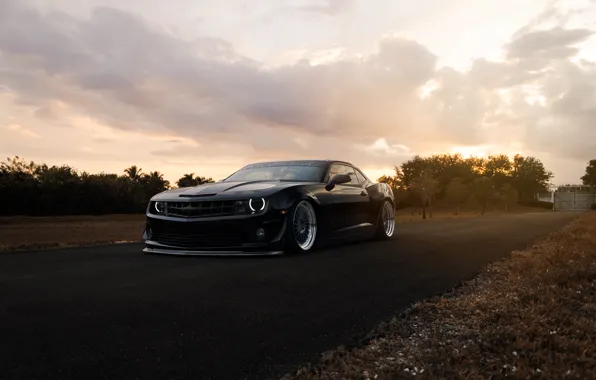 Картинка Chevrolet, Muscle, Camaro, Car, Front, Black, Autumn, Matte