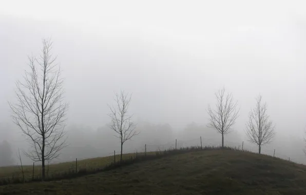 Картинка туман, забор, Деревья, холм