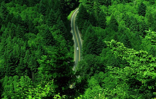 Картинка дорога, зелень, машина